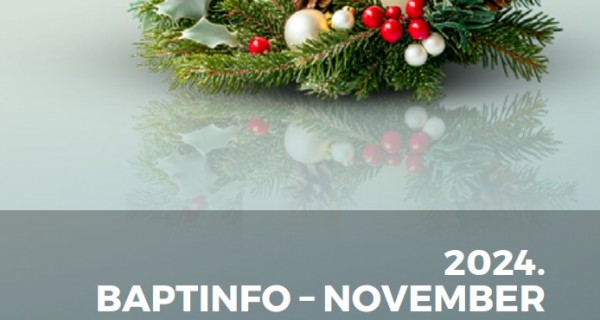 BAPTINFO 2024.11