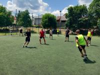 foci1 - 
