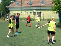 foci3 - 