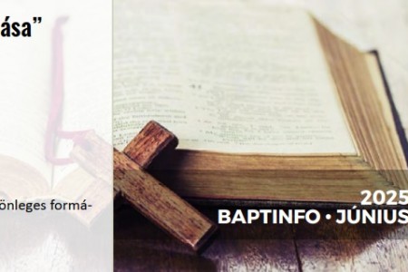 BAPTINFO 2025.06.