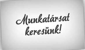 Felhívás igazgatói munkakör betöltésére